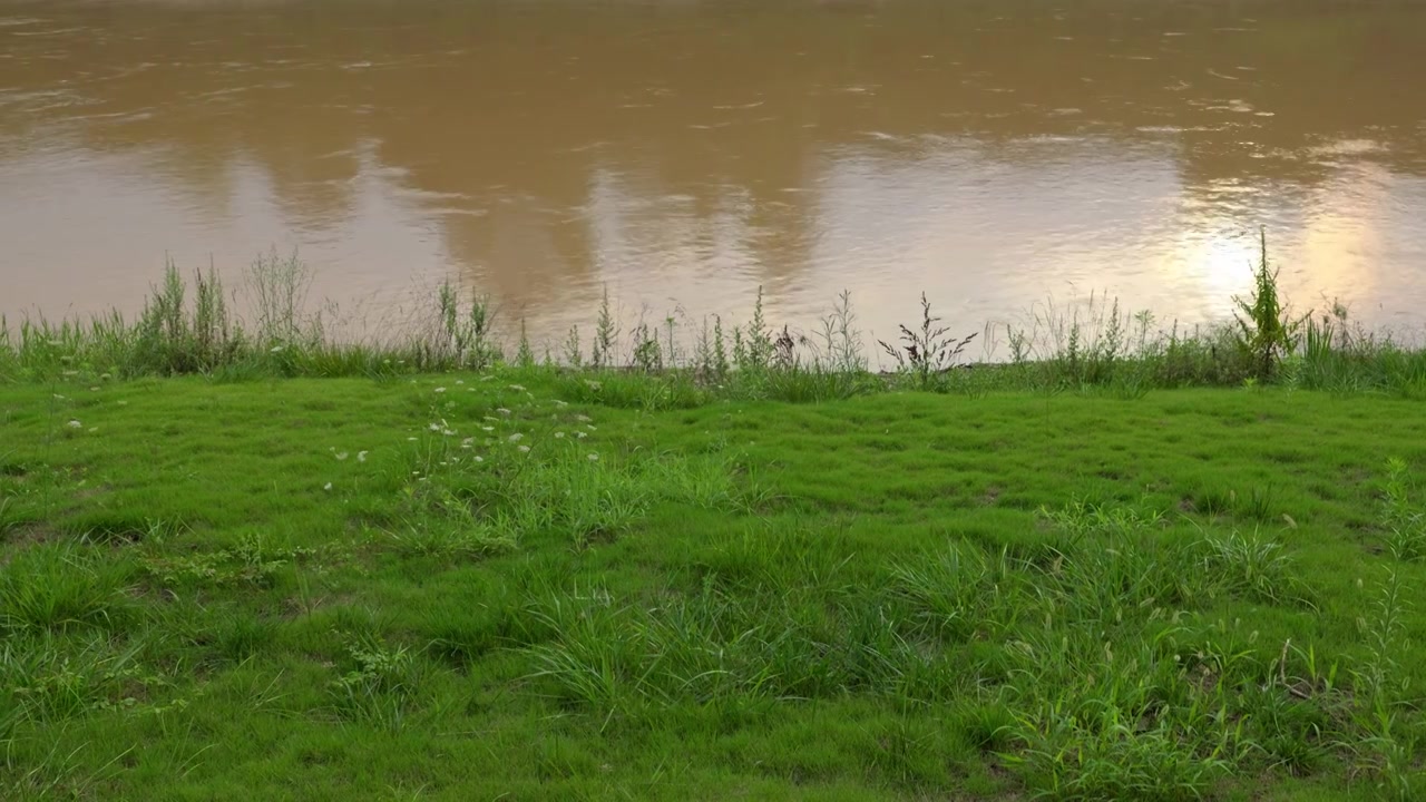 连续多日的雨季让陕西西安境内河流的水位暴涨，清水河变成了混浊的浊水河，河水与岸边的绿色草地视频下载