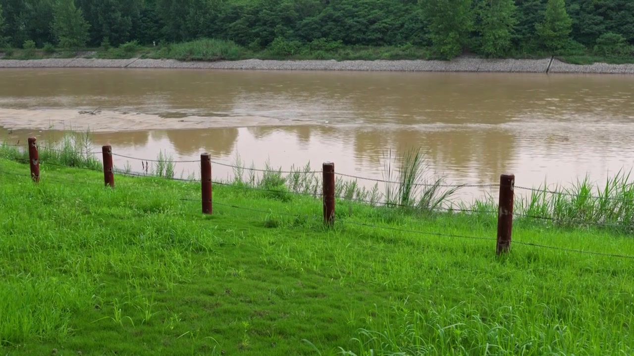 连续多日的雨季让陕西西安境内河流的水位暴涨，清水河变成了混浊的浊水河，河水与岸边的绿色草地视频下载