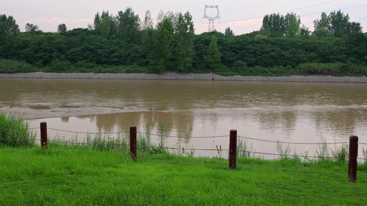 连续多日的雨季让陕西西安境内河流的水位暴涨，清水河变成了混浊的浊水河，河水与岸边的绿色草地视频下载