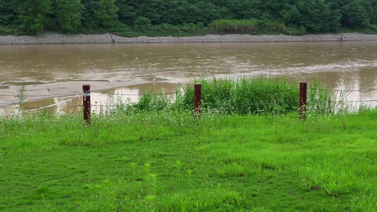 连续多日的雨季让陕西西安境内河流的水位暴涨，清水河变成了混浊的浊水河，河水与岸边的绿色草地视频素材