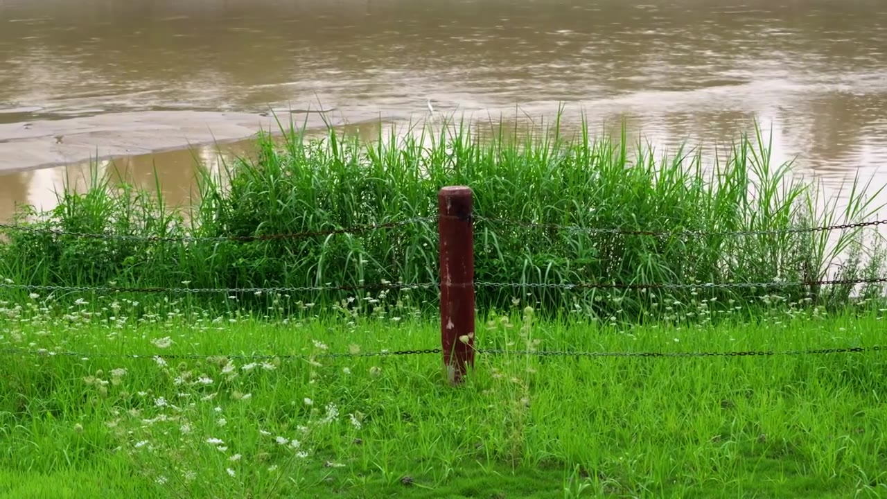 连续多日的雨季让陕西西安境内河流的水位暴涨，清水河变成了混浊的浊水河，河水与岸边的绿色草地视频素材