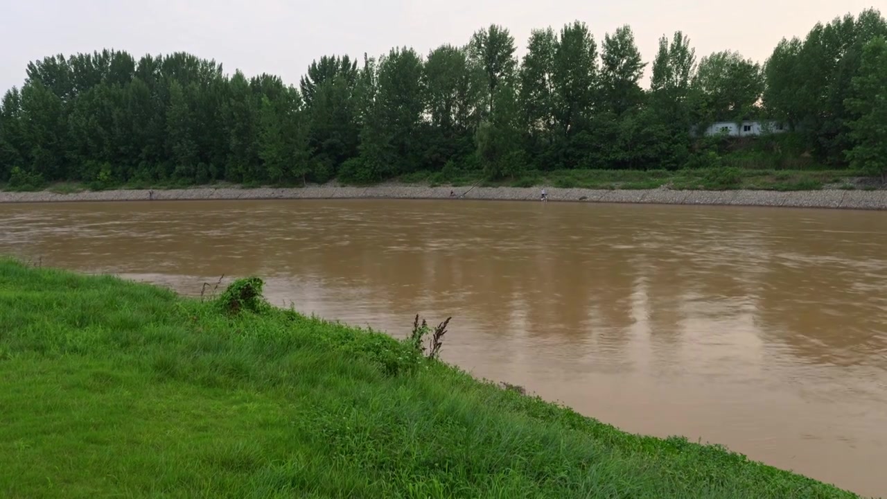 连续多日的雨季让陕西西安境内河流的水位暴涨，清水河变成了混浊的浊水河，河水与岸边的绿色草地视频素材