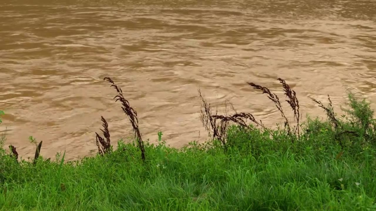 连续多日的雨季让陕西西安境内河流的水位暴涨，清水河变成了混浊的浊水河，河水与岸边的绿色草地视频下载