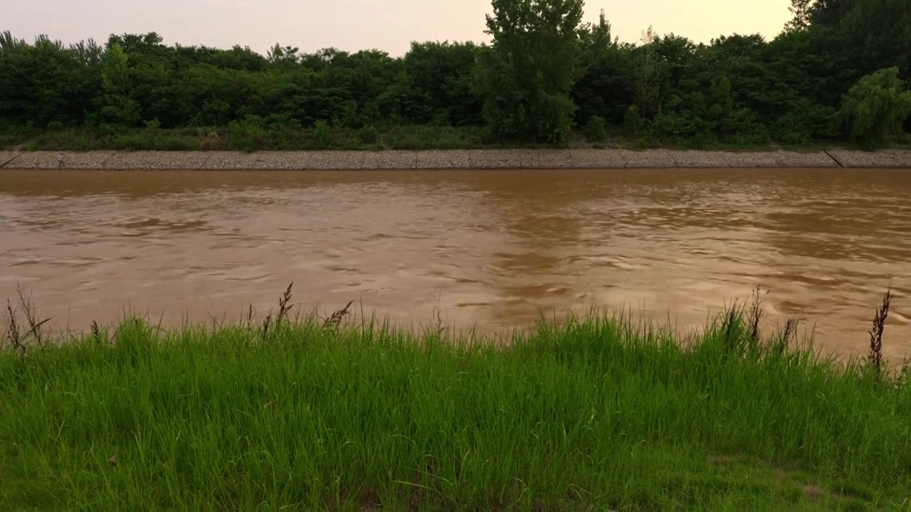 连续多日的雨季让陕西西安境内河流的水位暴涨，清水河变成了混浊的浊水河，河水与岸边的绿色草地视频下载