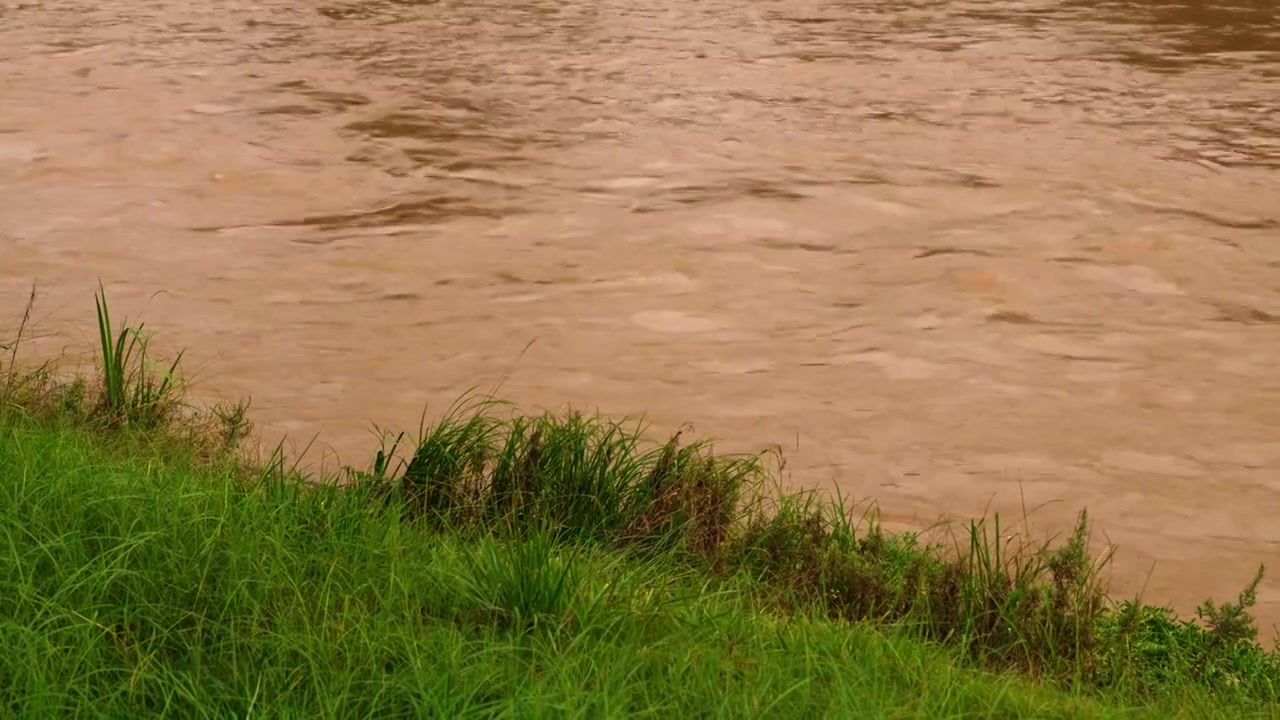 连续多日的雨季让陕西西安境内河流的水位暴涨，清水河变成了混浊的浊水河，河水与岸边的绿色草地视频下载