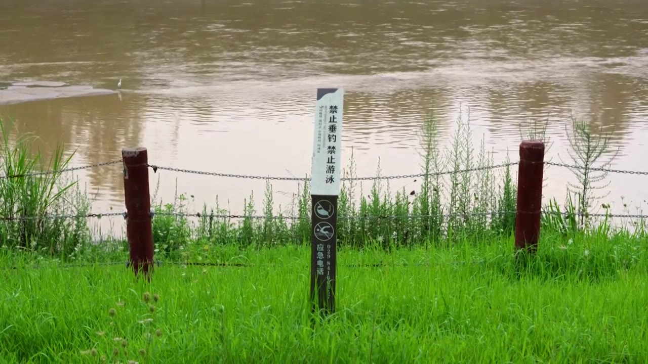 连续多日的雨季让陕西西安境内的河流水位暴涨，清水河变成浑浊的河流，岸边矗立的禁止下河的指示牌视频下载