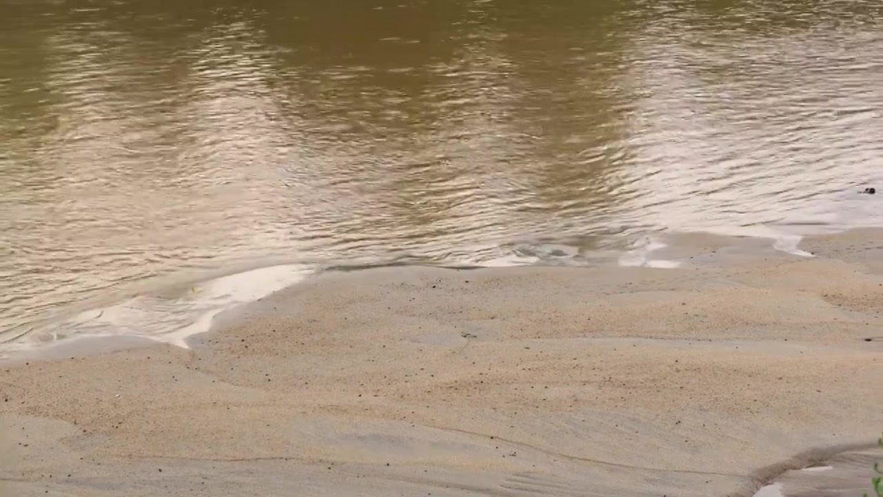 连续多日的雨季让陕西西安境内的河流从清水河变成浑浊的河流视频下载