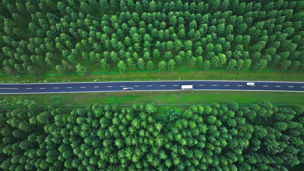 航拍森林公路视频素材