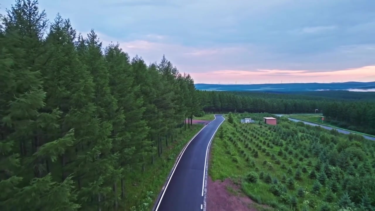 航拍森林公路视频素材