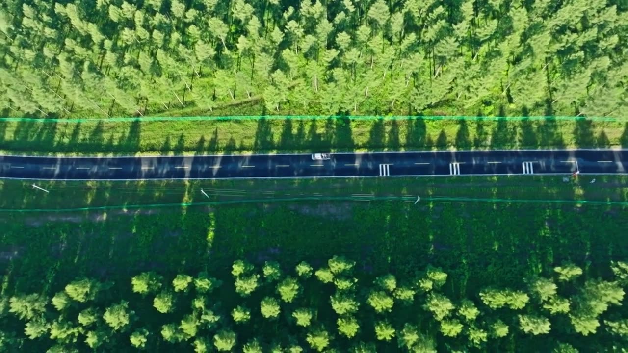 航拍森林公路视频素材