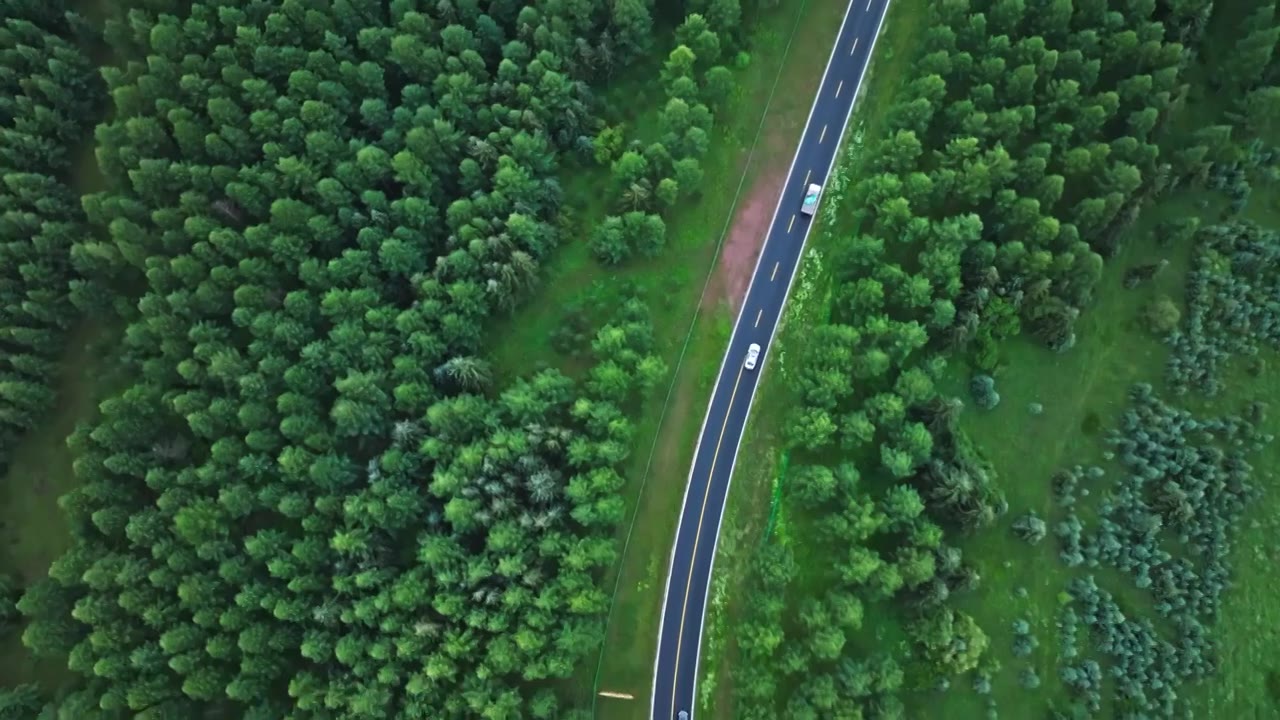 航拍森林公路视频素材