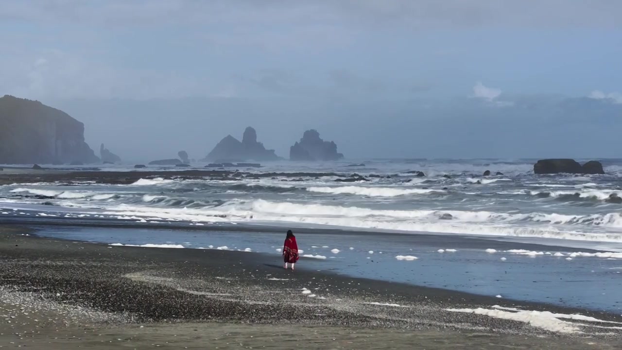 新西兰西海岸海星岩视频下载