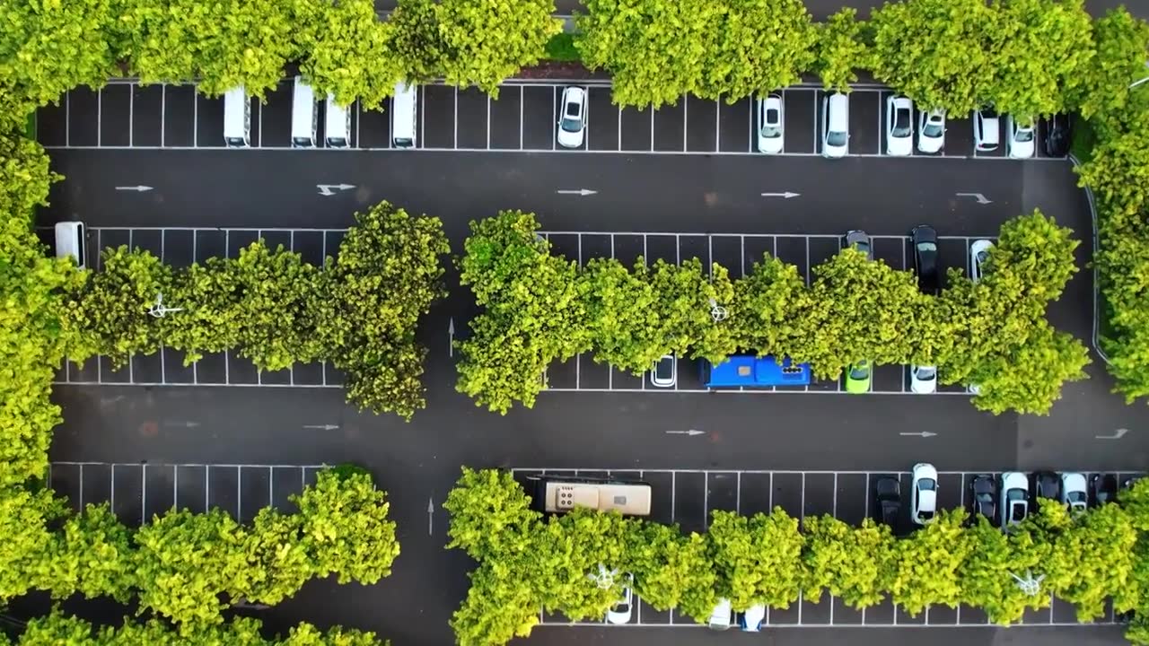 树荫下的标准停车场视频下载