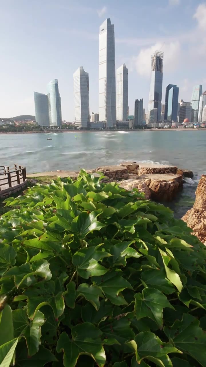 青岛地标浮山湾第三海水浴场晴天白昼延时摄影视频素材