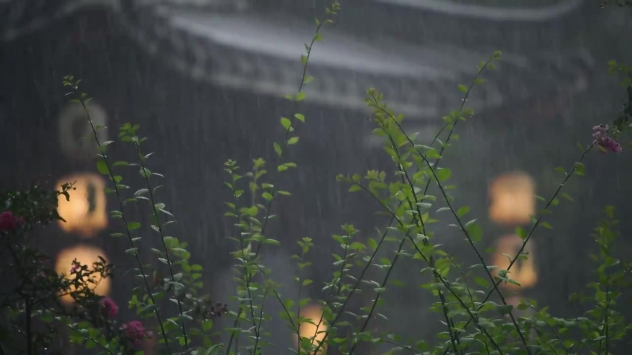 雨中的岭南园林古建筑视频素材