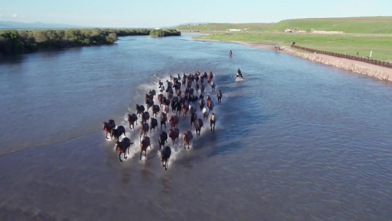 新疆昭苏湿地公园天马浴河视频素材