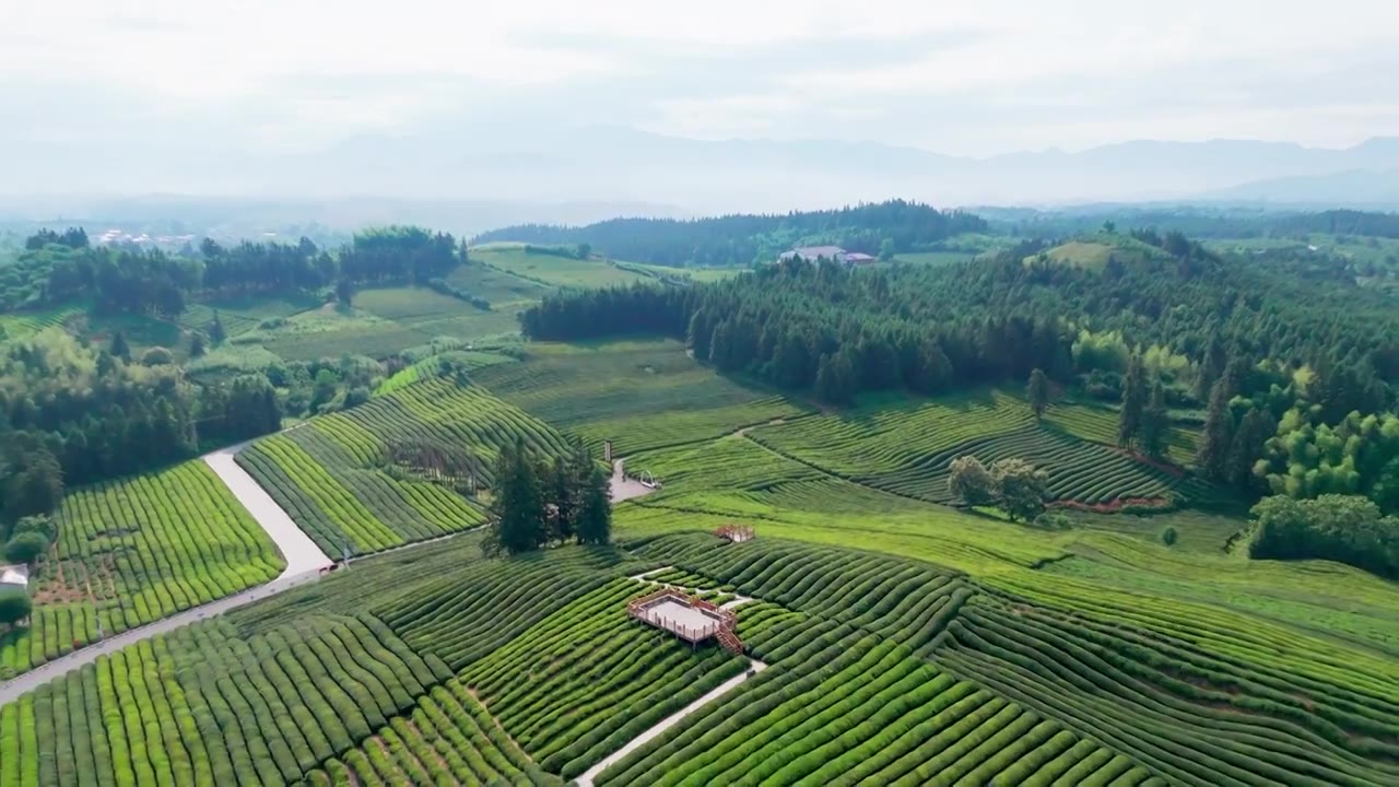 江西景德镇市浮梁县史子园茶山风光航拍视频素材