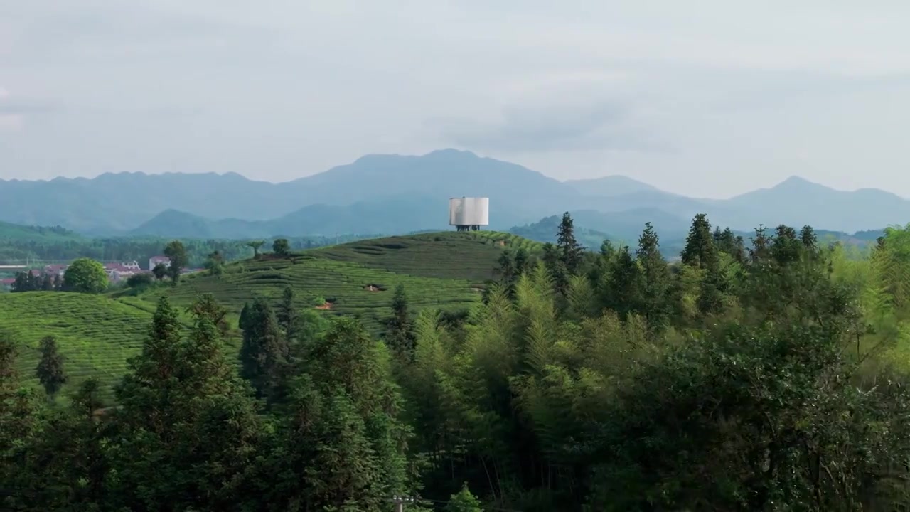 江西景德镇市浮梁县史子园茶山风光航拍视频下载