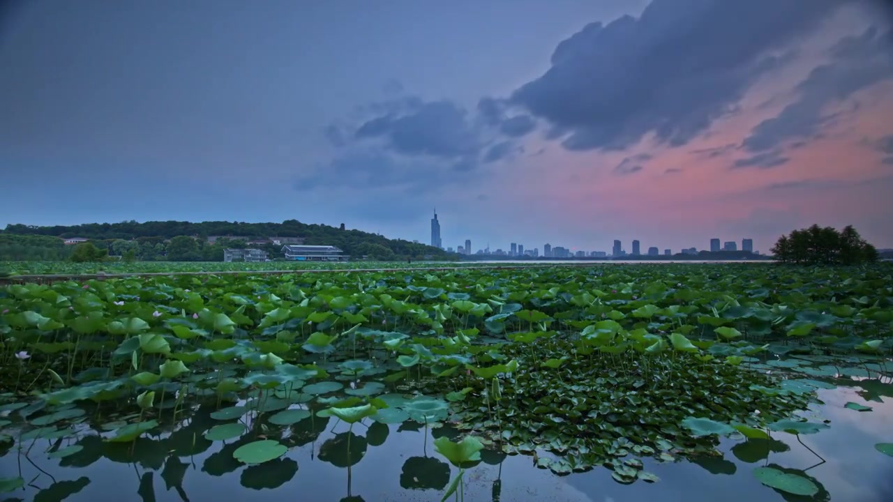 玄武湖日落延时视频素材