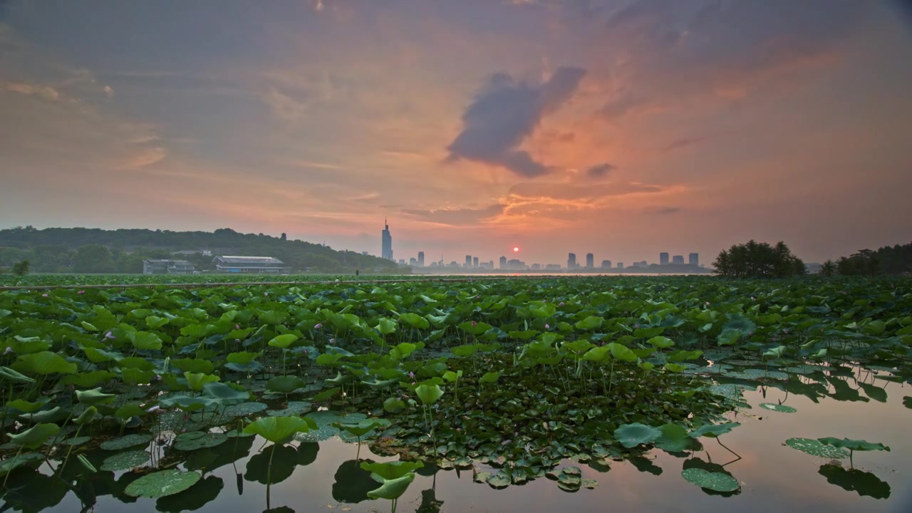 南京玄武湖日落视频素材