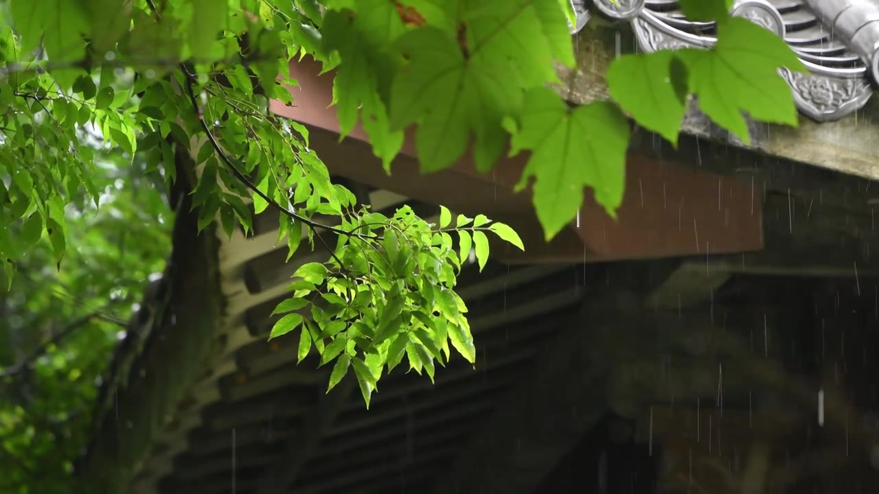 雨天古风建筑屋檐下雨水滴意境视频素材