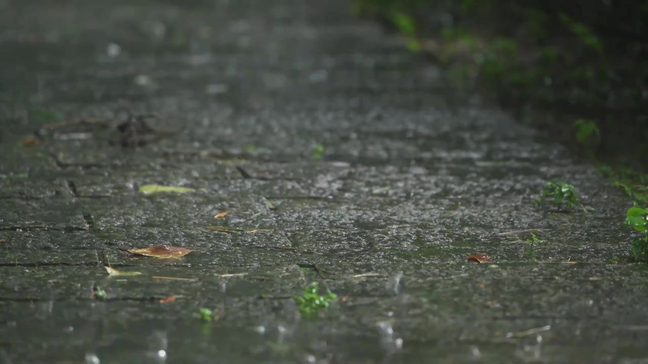 暴雨落在地面上视频素材