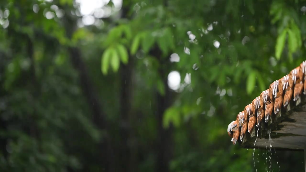 唯美屋檐下雨意境视频素材