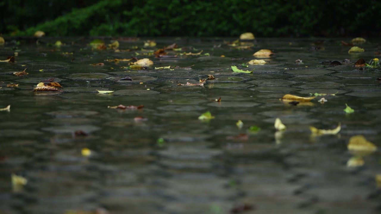 暴雨落在地面上视频素材