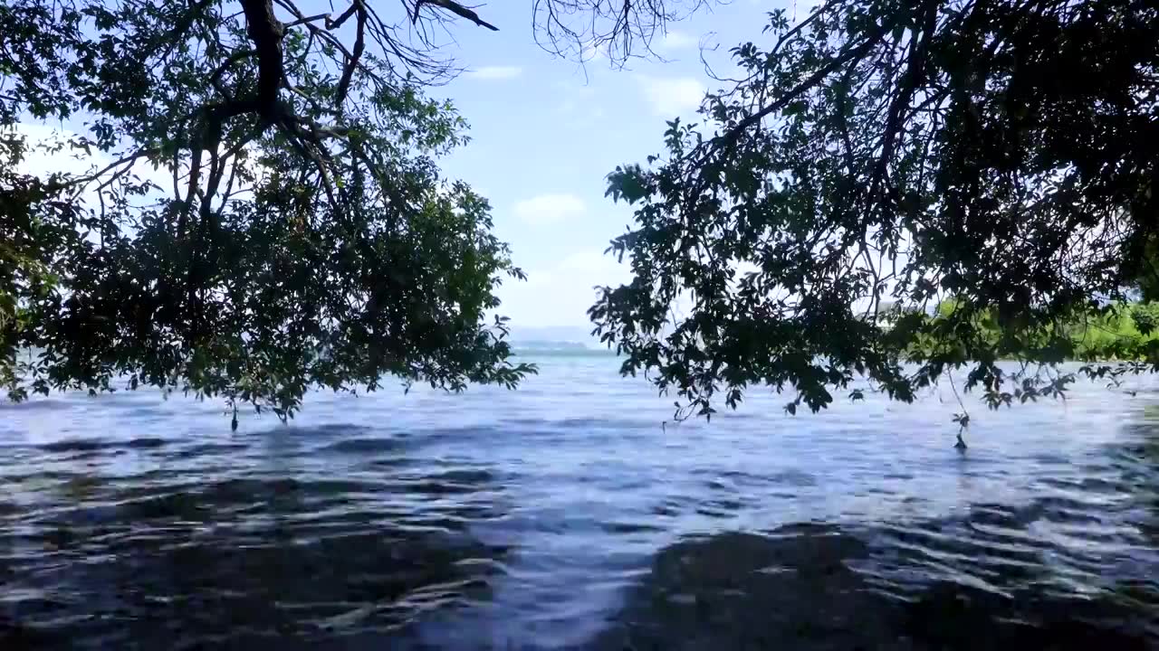 云南旅游大理洱海自然风景视频素材