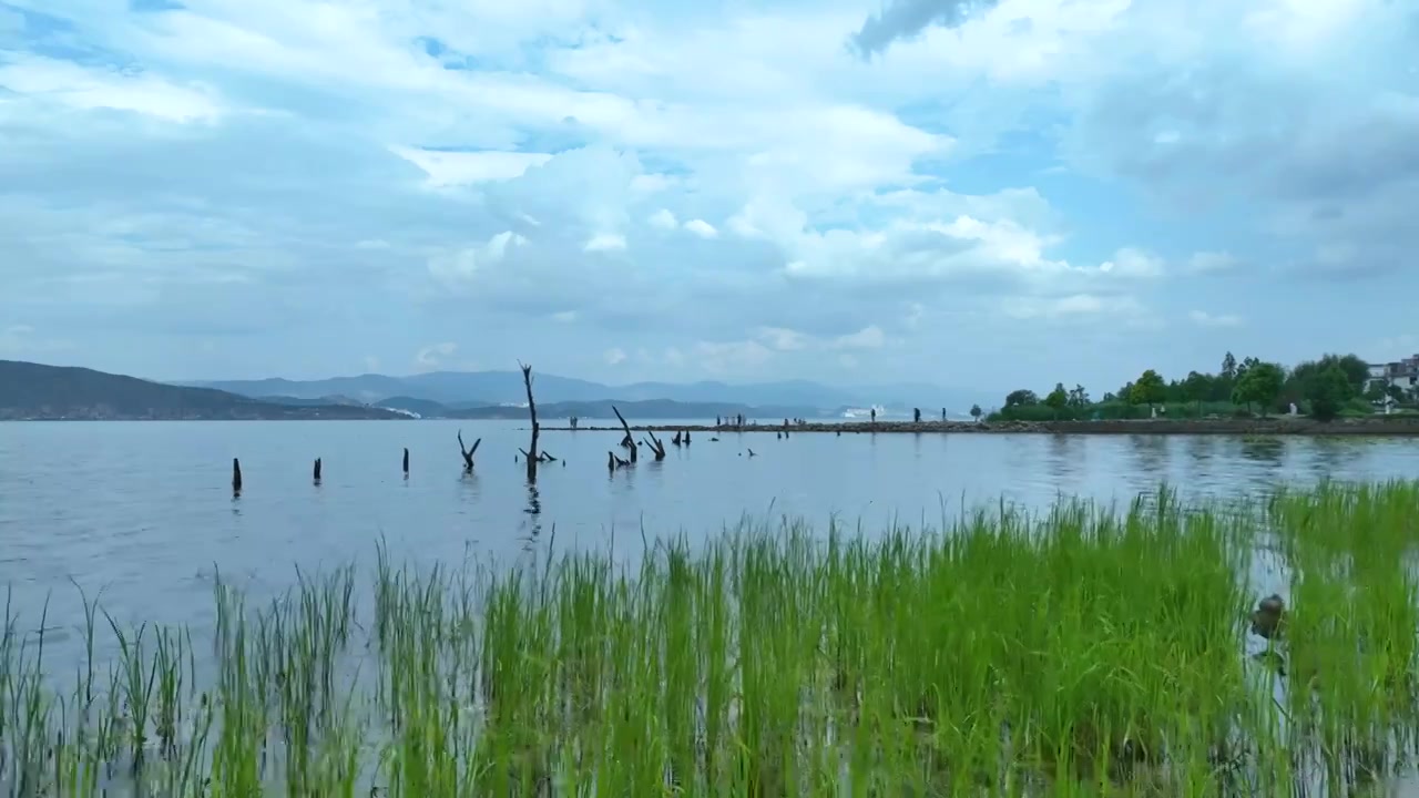 航拍云南旅游大理洱海湖景自然风景视频素材