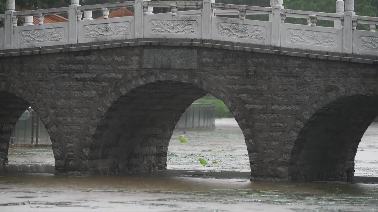 雨中的石拱桥与荷塘视频素材