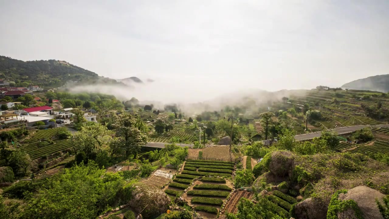 青岛崂山海边渔村的平流雾，仙境般的海雾涌上岸边，田地里农民们则忙着耕作视频素材