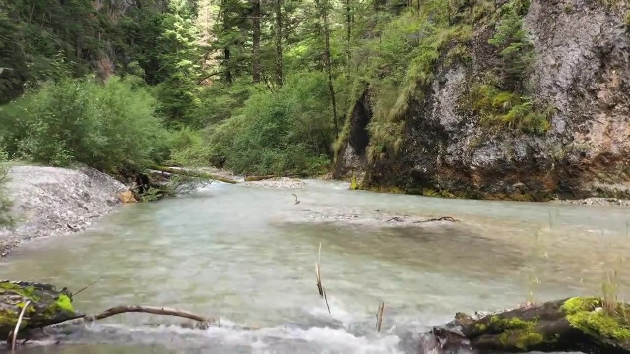 4K川西G215巴巴沟绿松湖 原始森林视频素材