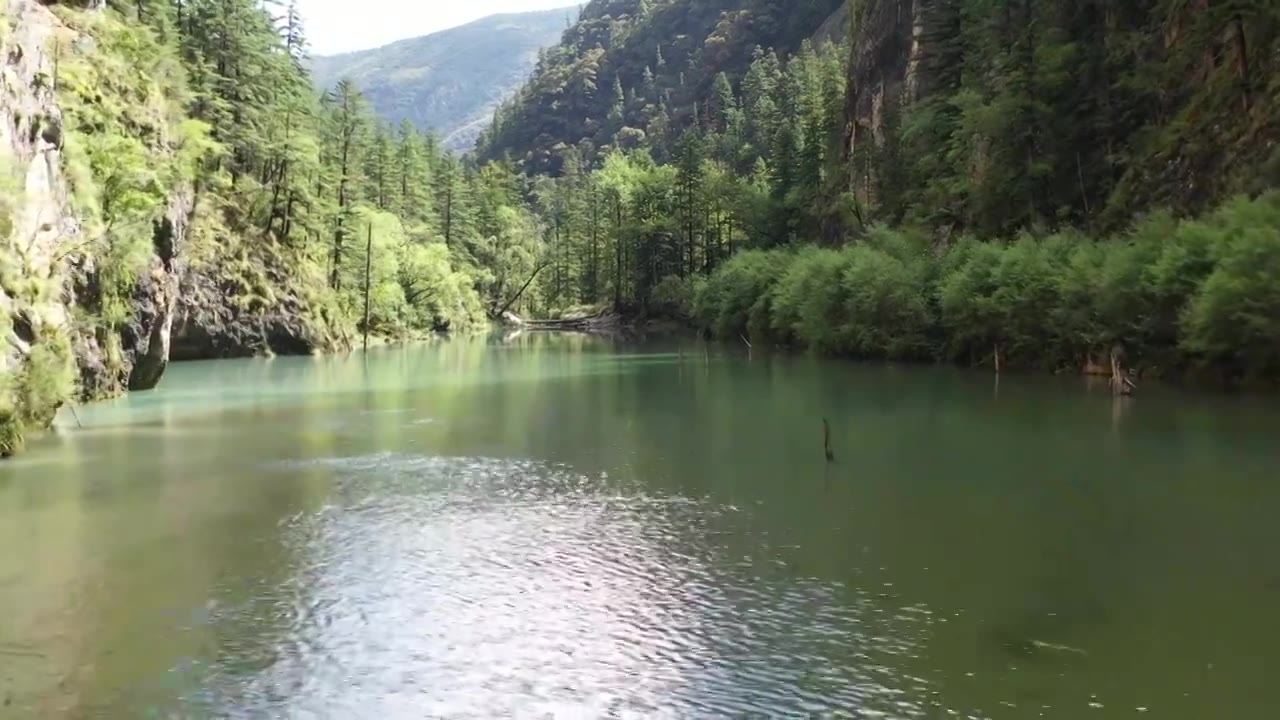 4K川西G215巴巴沟绿松湖 原始森林视频素材