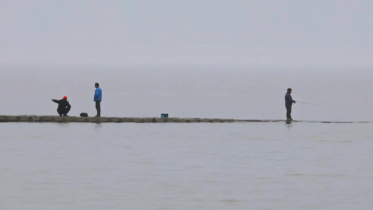 上海市横沙岛-海边海堤、轮船和芦苇视频素材