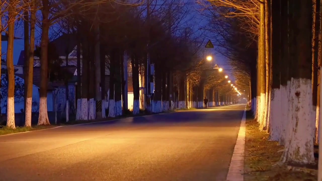 上海市横沙岛-夜晚的林荫道视频素材