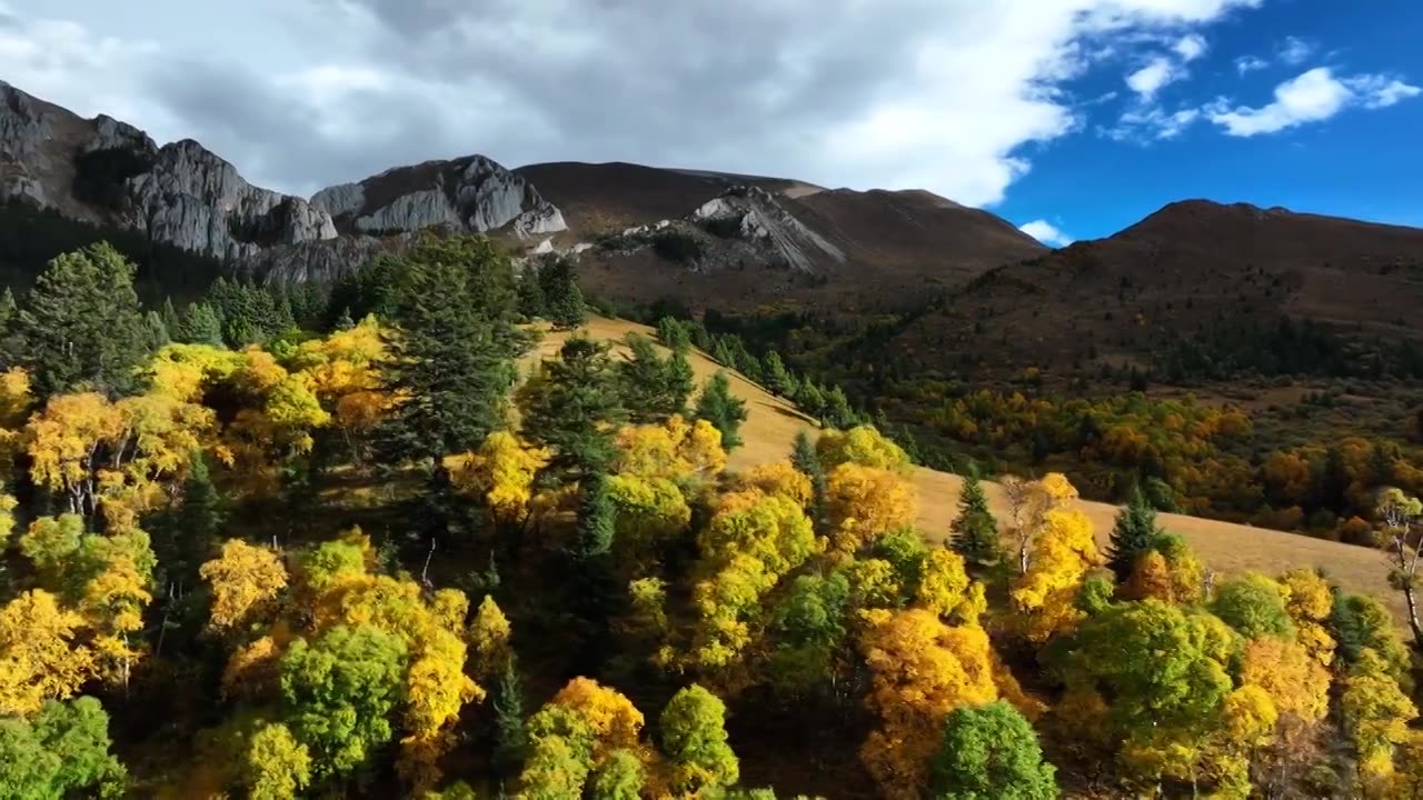 美丽川西理塘县格聂之秋视频素材