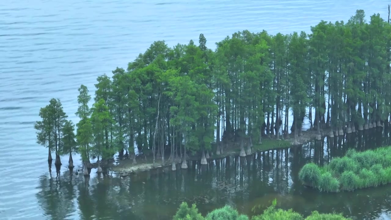 航拍云南旅游大理洱海自然风景视频素材