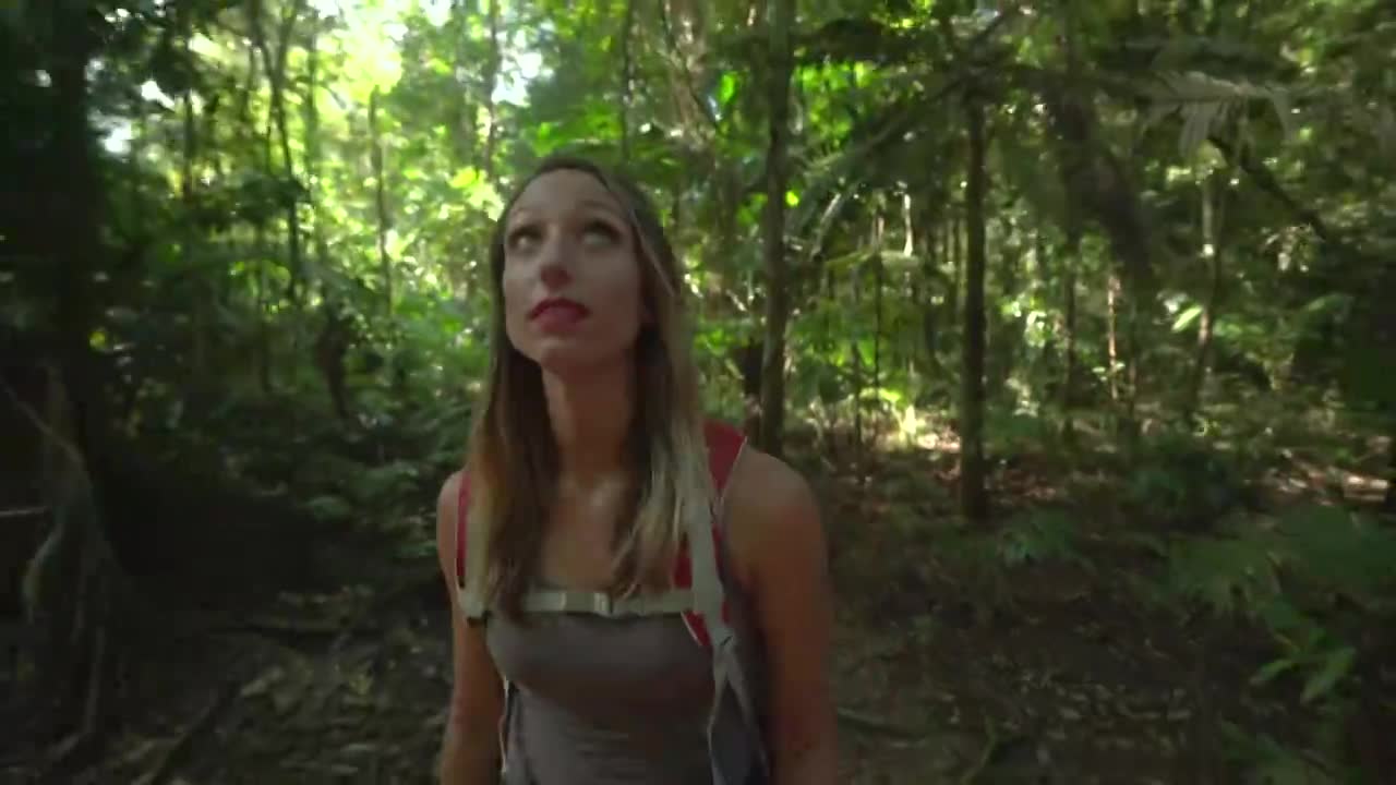 徒步穿越澳大利亚丹特里原始雨林的女性徒步旅行者视频素材画面1