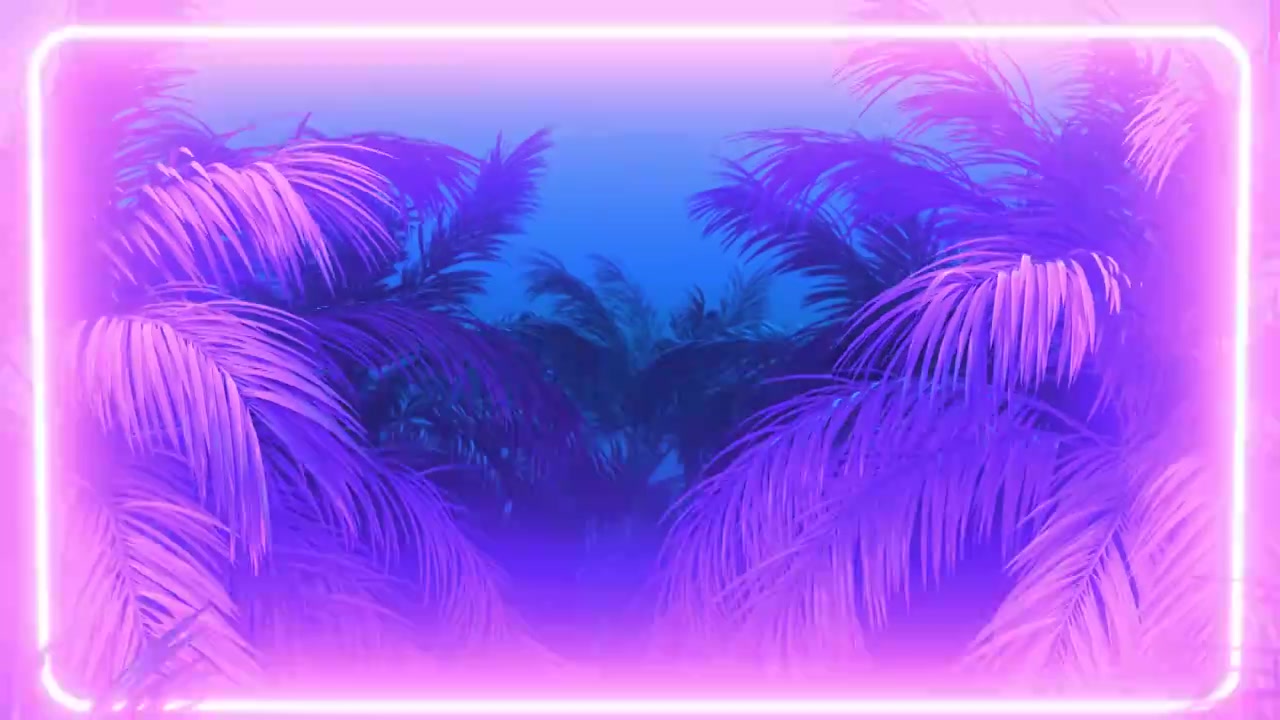发光的长方形和棕榈树视频素材画面1