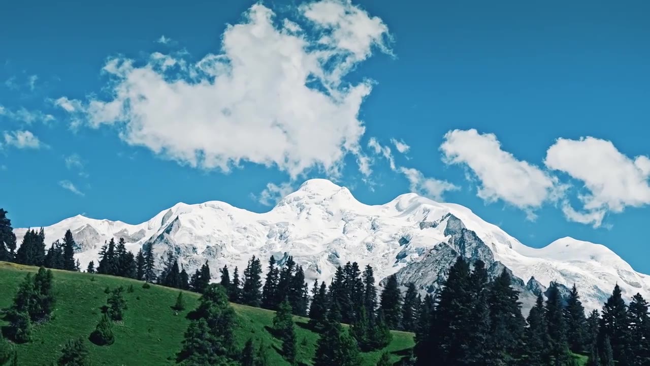 川西甘孜理塘格聂蓝天白云高原绿色树木草原雪山视频素材