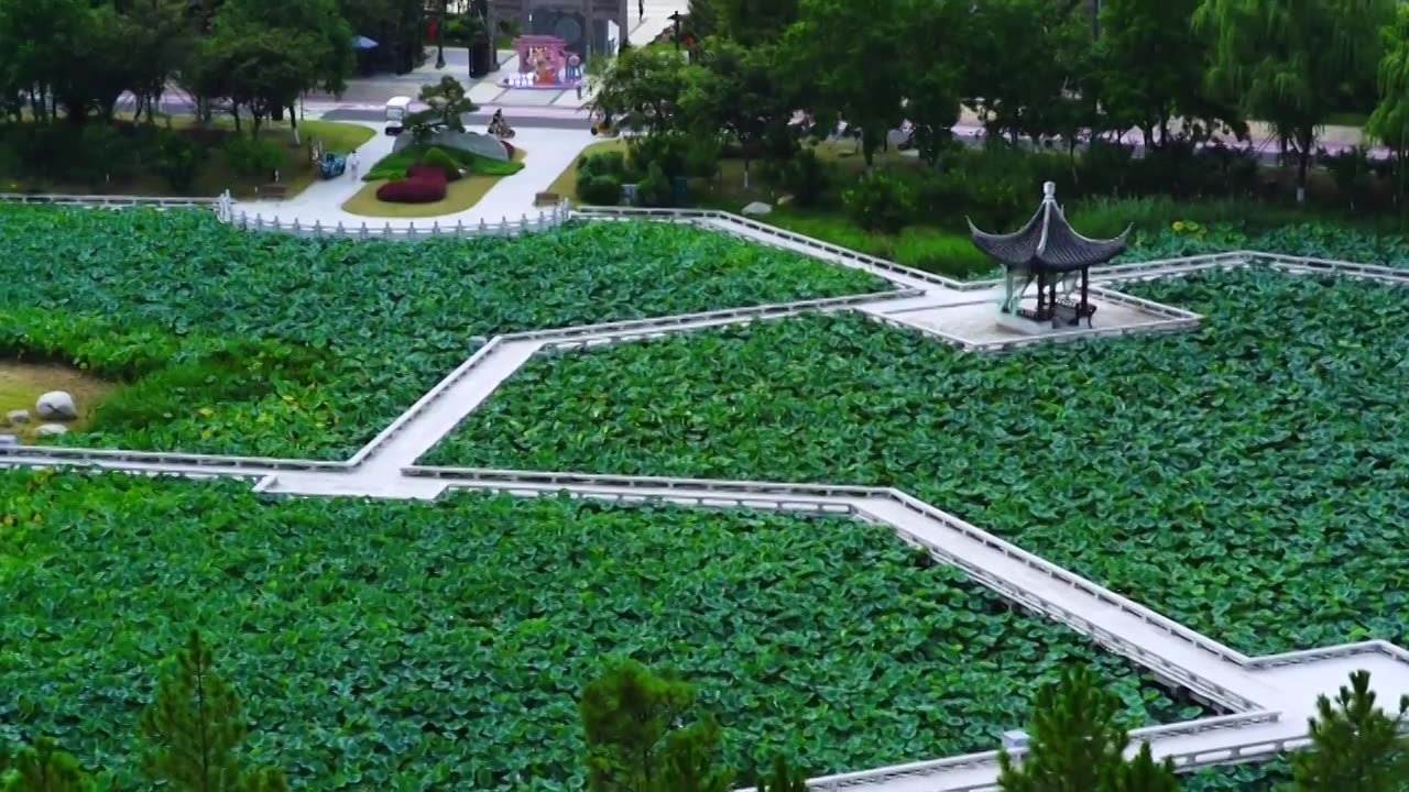 盐城大洋湾荷花池盐渎古镇视频素材