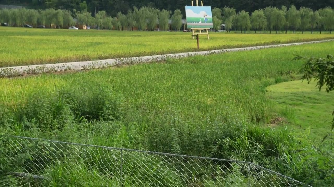 湖北恩施乡村旅游网红点：恩施白果塘里堂外秋日田园风光视频下载