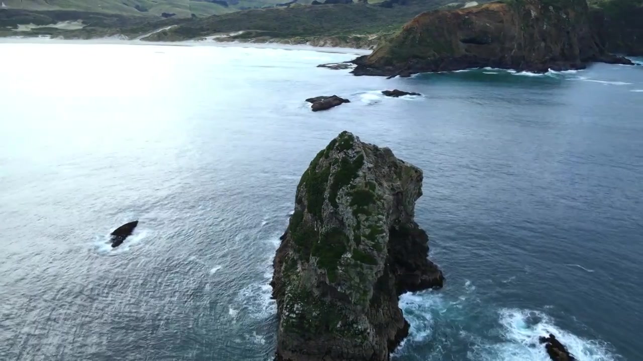 新西兰但尼丁南太平洋大海中像海狮一样的岛屿视频素材