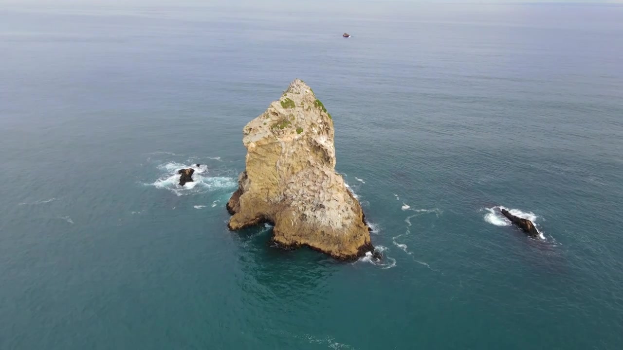 新西兰但尼丁南太平洋大海中像海狮一样的岛屿视频素材