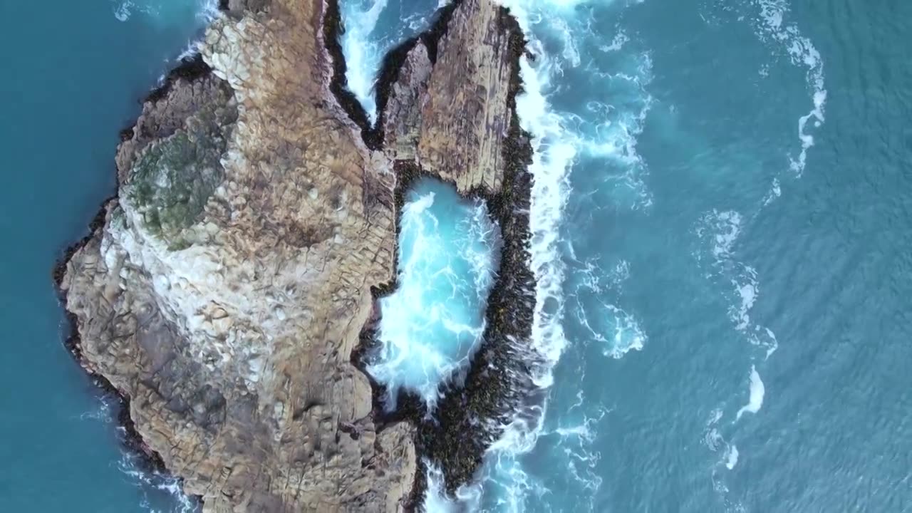 新西兰但尼丁南太平洋大海中的岛屿视频素材