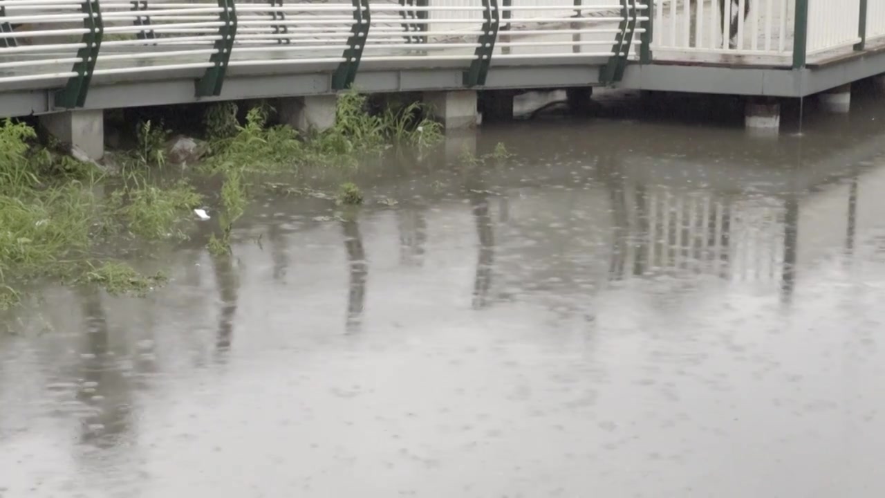 马家沟河 河流 下雨视频素材