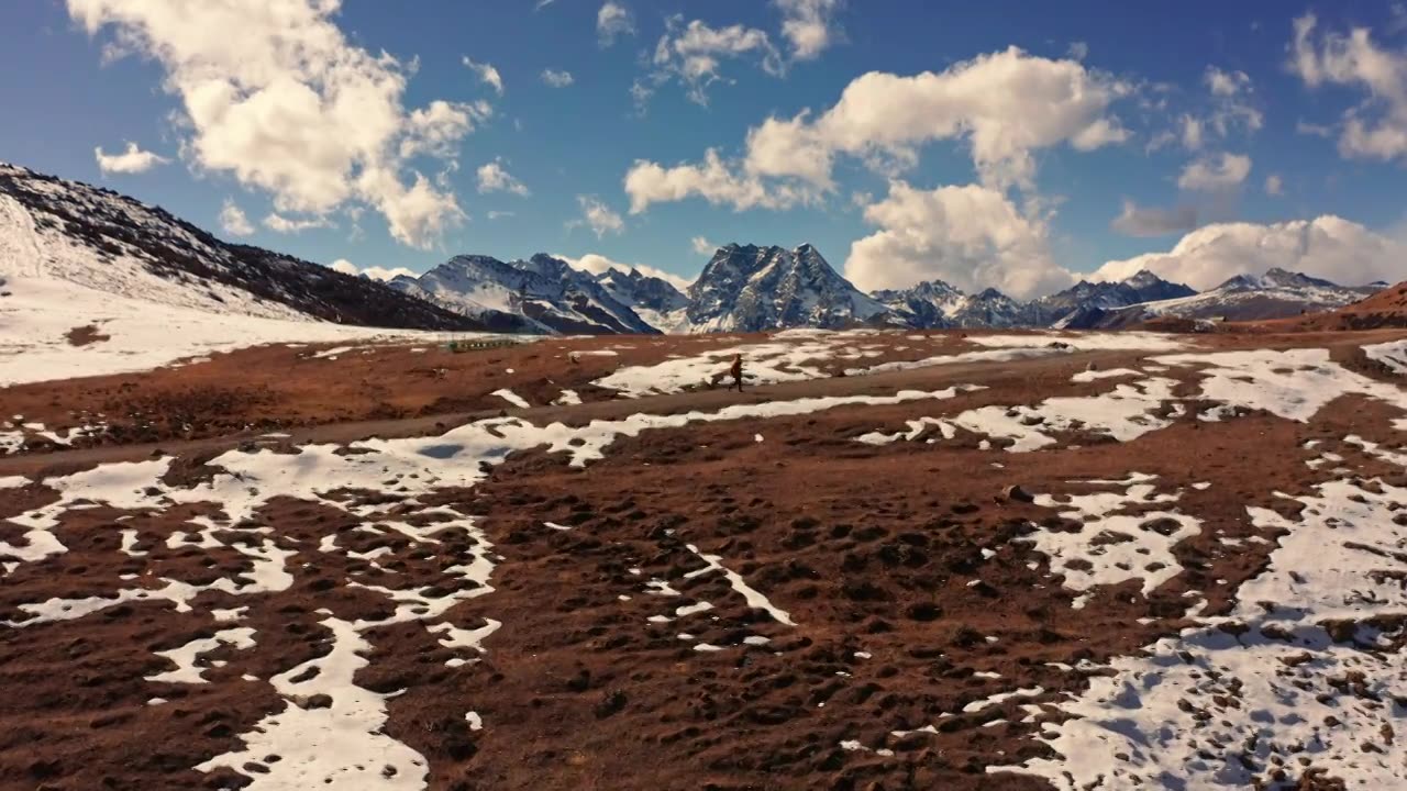 白马雪山视频下载