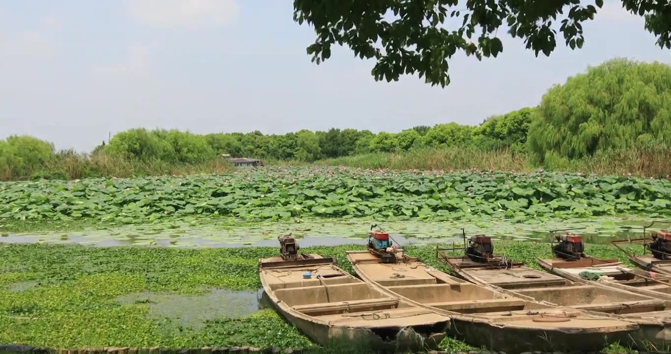 美丽的长荡湖视频素材