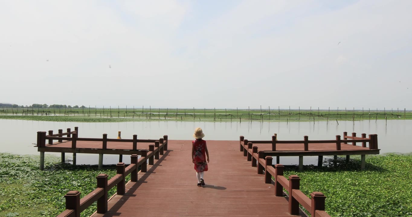 江苏长荡湖湿地飞鸟可爱小女孩码头散步视频素材